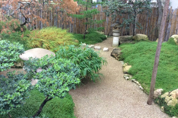 Красивый красочный сад от весны до поздней осени — это ли не мечта