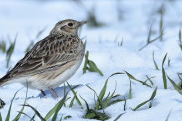 Всем кто заключит договор на обучение  до 12.00 - дополнительная СКИДКА к действующей 5%. Вы можете оформить курсы не выходя из дома или офиса. Мы заключаем договора и онлайн!