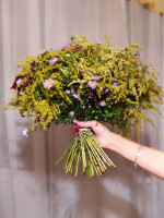 Галерея №flzl50vv