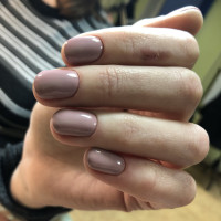 Галерея №i7oc1vo5