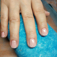 Галерея №i7oc1vo5