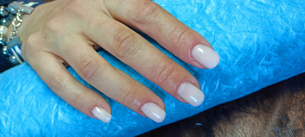 Галерея №i7oc1vo5