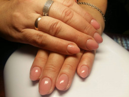 Галерея №h8fiavwy