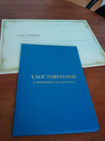 Галерея №81pe600