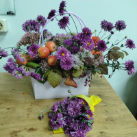 Флористика