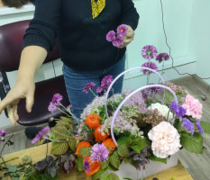 Флористика