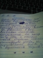 Галерея №kn0evb9z